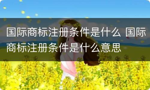 国际商标注册条件是什么 国际商标注册条件是什么意思