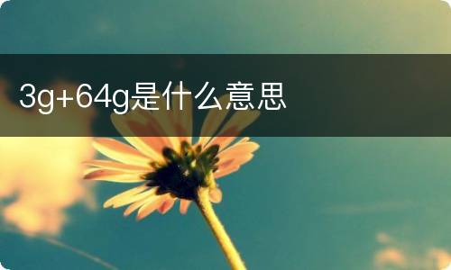 3g+64g是什么意思