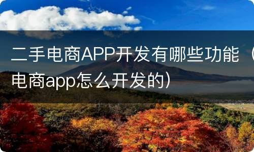 二手电商APP开发有哪些功能（电商app怎么开发的）