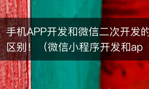 手机APP开发和微信二次开发的区别！（微信小程序开发和app开发的区别）