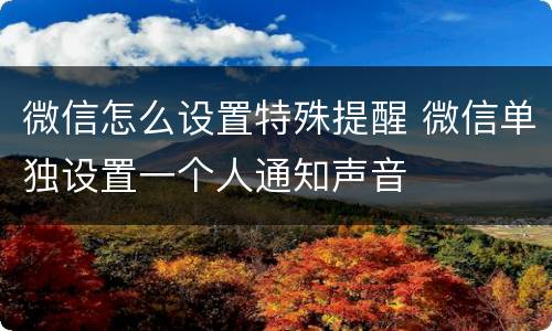 微信怎么设置特殊提醒 微信单独设置一个人通知声音