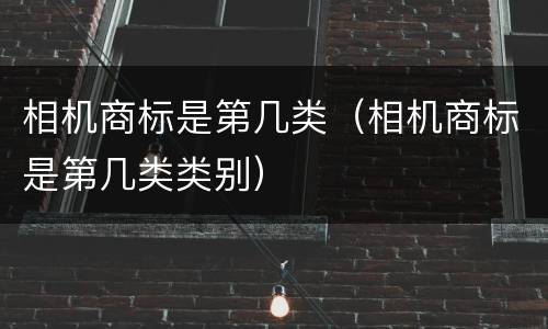 相机商标是第几类（相机商标是第几类类别）
