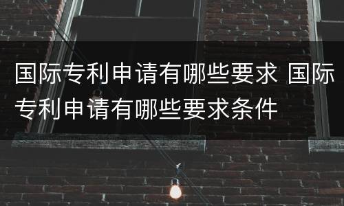 国际专利申请有哪些要求 国际专利申请有哪些要求条件