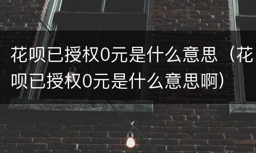 花呗已授权0元是什么意思（花呗已授权0元是什么意思啊）