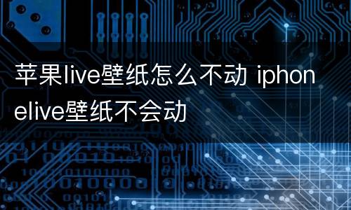 苹果live壁纸怎么不动 iphonelive壁纸不会动