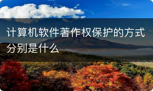 计算机软件著作权保护的方式分别是什么