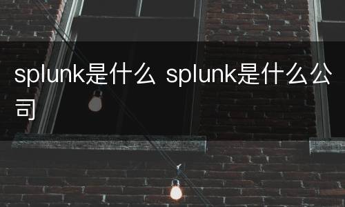 splunk是什么 splunk是什么公司