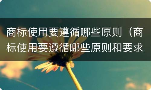 商标使用要遵循哪些原则（商标使用要遵循哪些原则和要求）