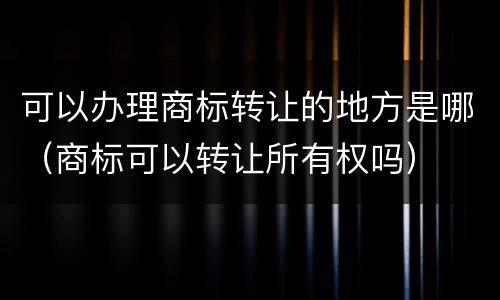 可以办理商标转让的地方是哪（商标可以转让所有权吗）