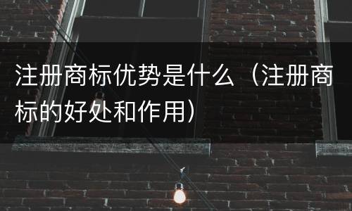 注册商标优势是什么（注册商标的好处和作用）