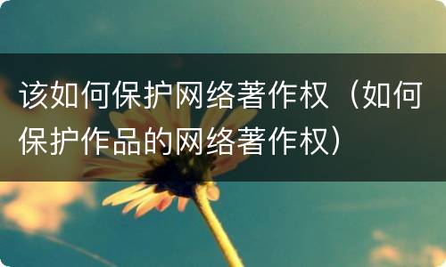 该如何保护网络著作权（如何保护作品的网络著作权）