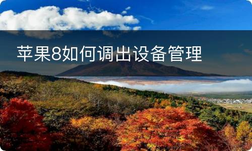  苹果8如何调出设备管理