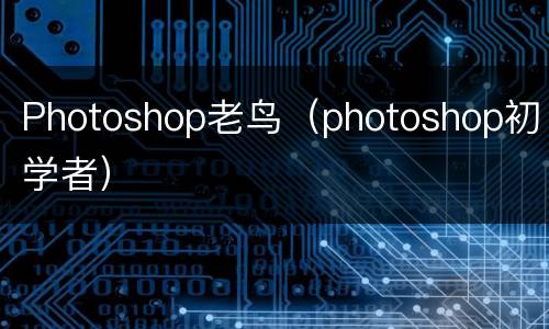 Photoshop老鸟（photoshop初学者）