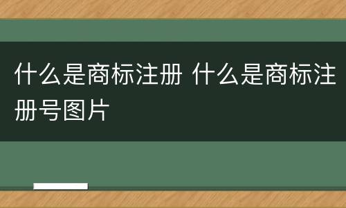 什么是商标注册 什么是商标注册号图片
