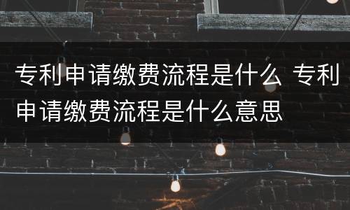 专利申请缴费流程是什么 专利申请缴费流程是什么意思