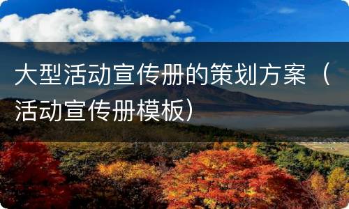 大型活动宣传册的策划方案（活动宣传册模板）