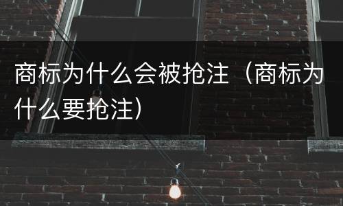商标为什么会被抢注（商标为什么要抢注）
