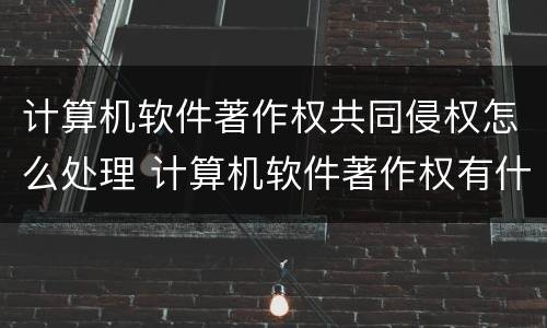 计算机软件著作权共同侵权怎么处理 计算机软件著作权有什么作用