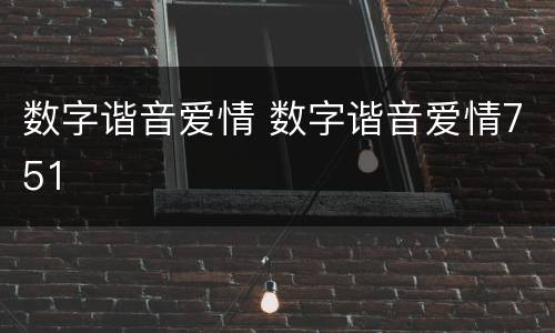 数字谐音爱情 数字谐音爱情751