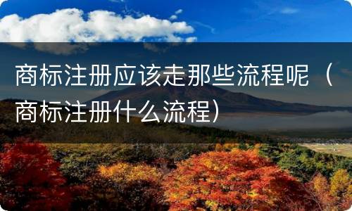 商标注册应该走那些流程呢（商标注册什么流程）