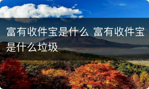 富有收件宝是什么 富有收件宝是什么垃圾