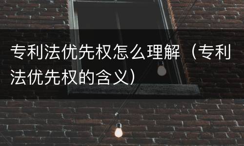 专利法优先权怎么理解（专利法优先权的含义）