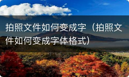 拍照文件如何变成字（拍照文件如何变成字体格式）