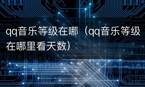qq音乐等级在哪（qq音乐等级在哪里看天数）