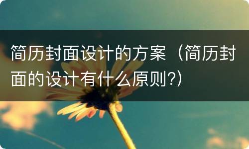 简历封面设计的方案（简历封面的设计有什么原则?）