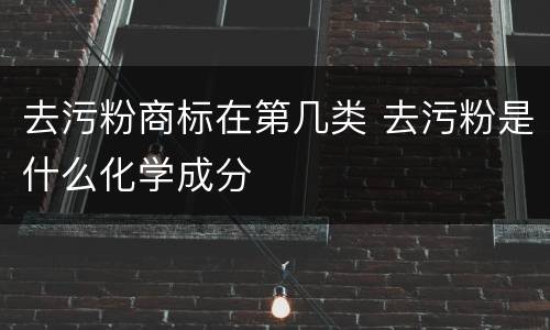 去污粉商标在第几类 去污粉是什么化学成分