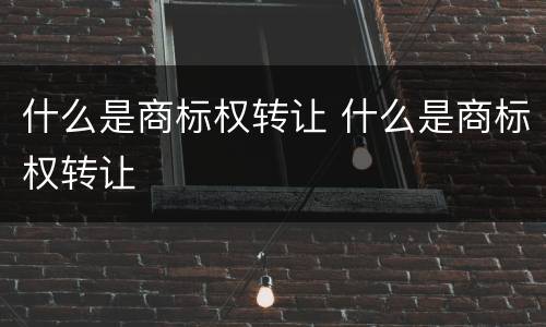 什么是商标权转让 什么是商标权转让