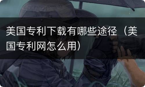美国专利下载有哪些途径（美国专利网怎么用）