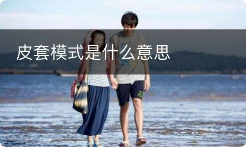  皮套模式是什么意思