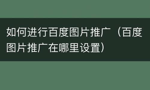 如何进行百度图片推广（百度图片推广在哪里设置）