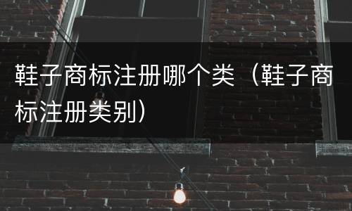 鞋子商标注册哪个类（鞋子商标注册类别）