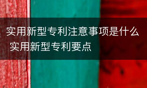 实用新型专利注意事项是什么 实用新型专利要点
