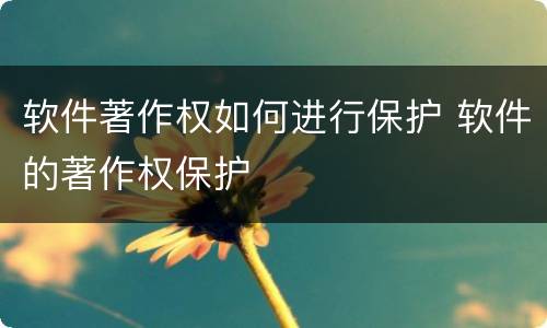 软件著作权如何进行保护 软件的著作权保护