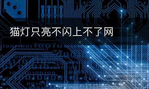  猫灯只亮不闪上不了网
