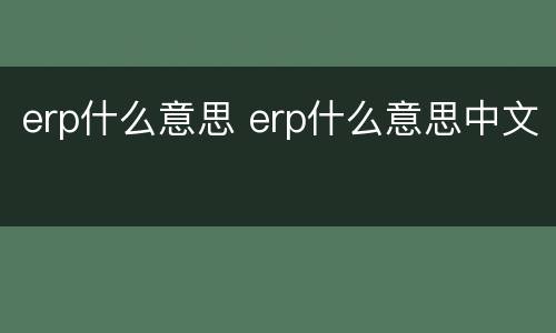 erp什么意思 erp什么意思中文