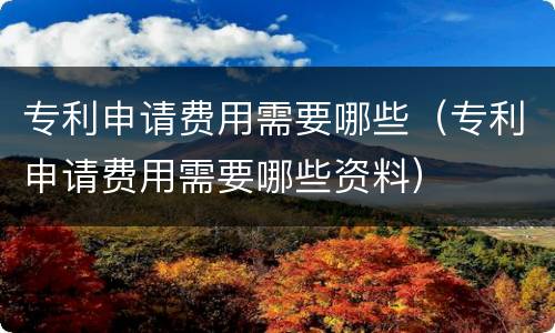 专利申请费用需要哪些（专利申请费用需要哪些资料）