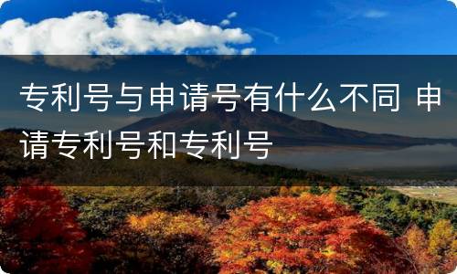 专利号与申请号有什么不同 申请专利号和专利号
