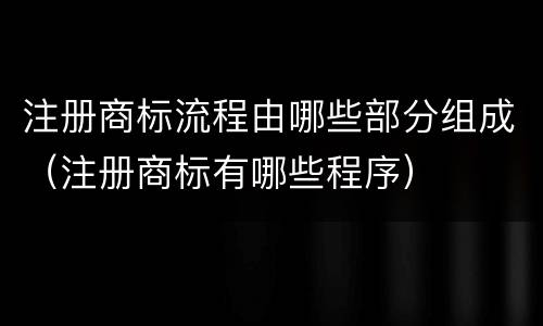 注册商标流程由哪些部分组成（注册商标有哪些程序）