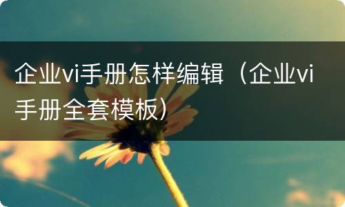 企业vi手册怎样编辑（企业vi手册全套模板）