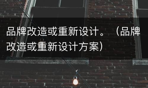 品牌改造或重新设计。（品牌改造或重新设计方案）