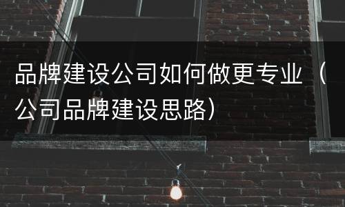 品牌建设公司如何做更专业（公司品牌建设思路）
