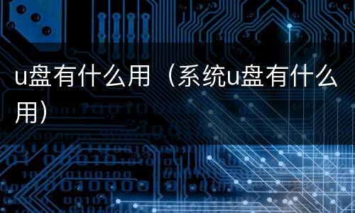 u盘有什么用（系统u盘有什么用）