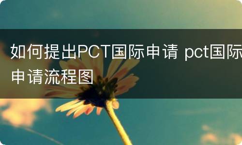 如何提出PCT国际申请 pct国际申请流程图