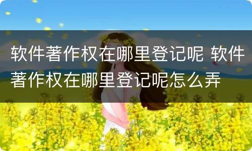 软件著作权在哪里登记呢 软件著作权在哪里登记呢怎么弄