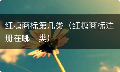 红糖商标第几类（红糖商标注册在哪一类）