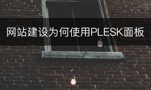 网站建设为何使用PLESK面板